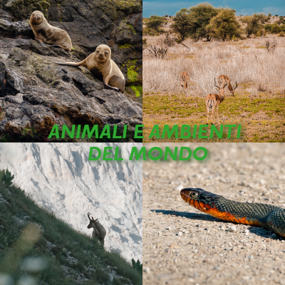 Animali e ambienti del mondo