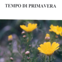 Tempo di primavera